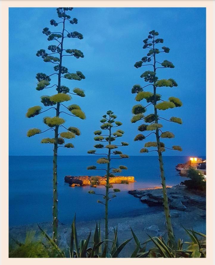 Villa La Rucchetta Alghero Zewnętrze zdjęcie