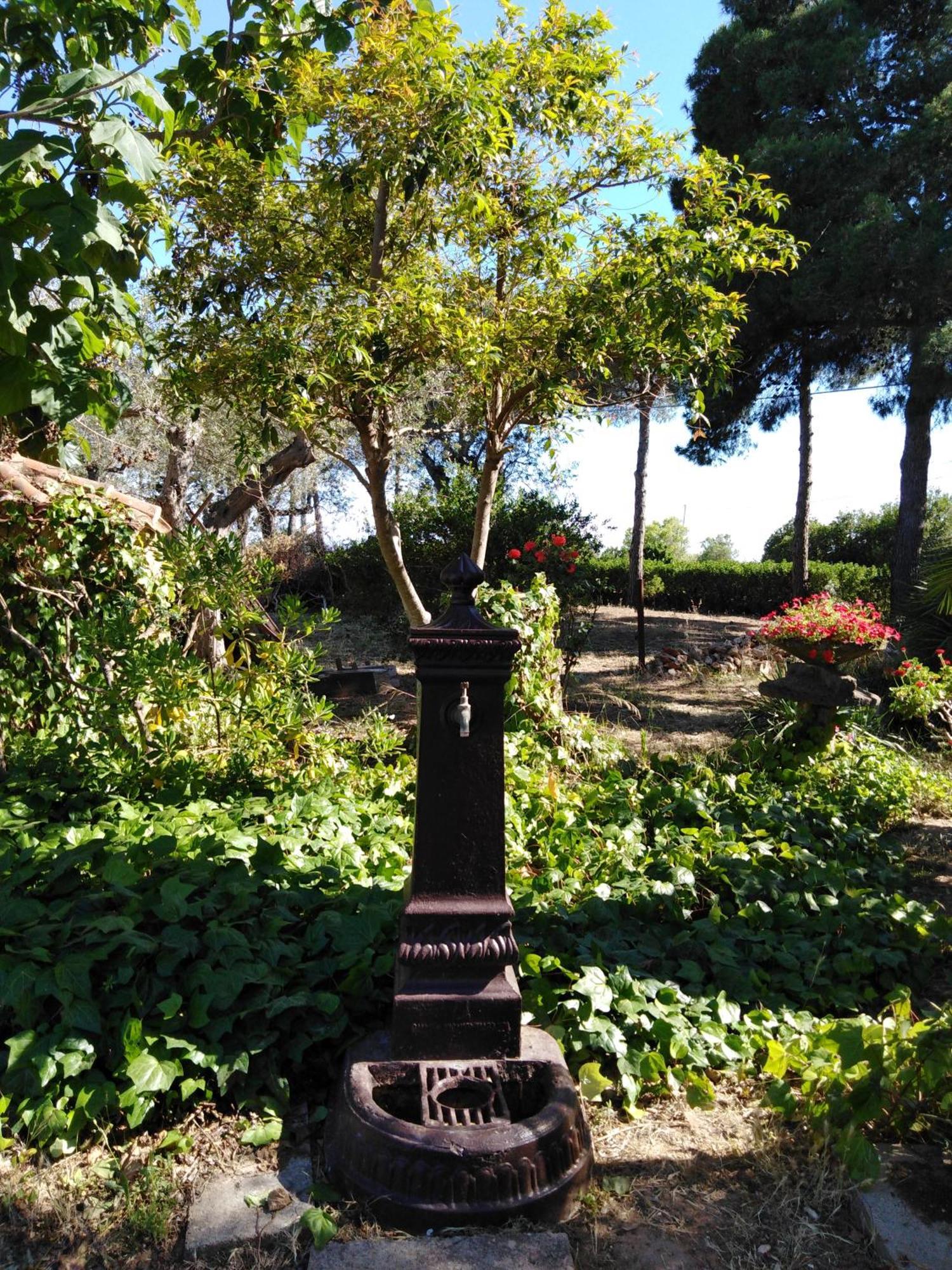Villa La Rucchetta Alghero Zewnętrze zdjęcie