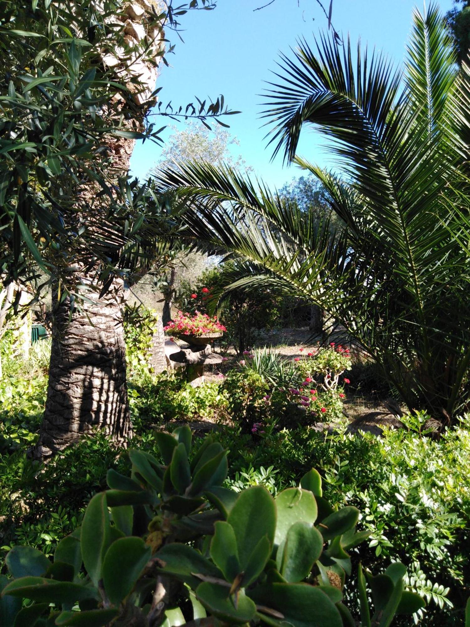 Villa La Rucchetta Alghero Zewnętrze zdjęcie